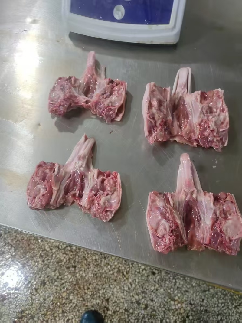 本公司加工精品蝴蝶鸭下巴鹅下巴欢迎订购🌹价格经济实惠