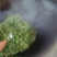 酸枣树古树茶