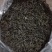 酸枣树古树茶
