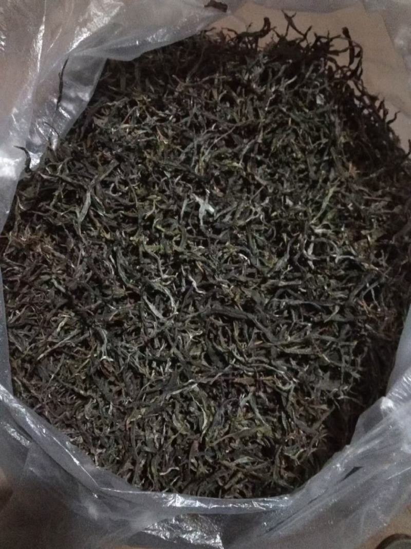 酸枣树古树茶