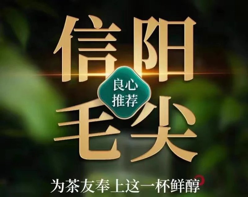信阳毛尖茶叶2026年明前新茶产地直发散装包邮