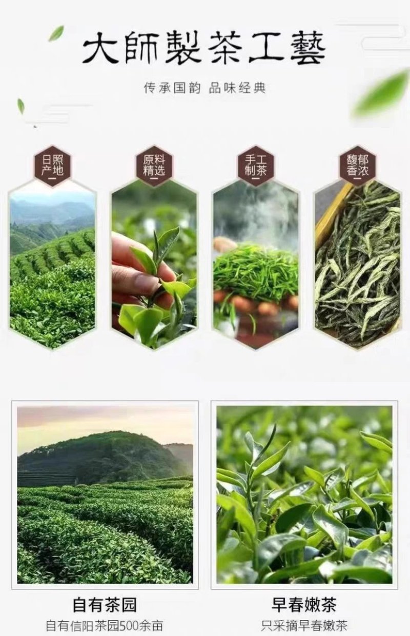 信阳毛尖茶叶2026年明前新茶产地直发散装包邮