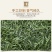 信阳毛尖茶叶2026年明前新茶产地直发散装包邮
