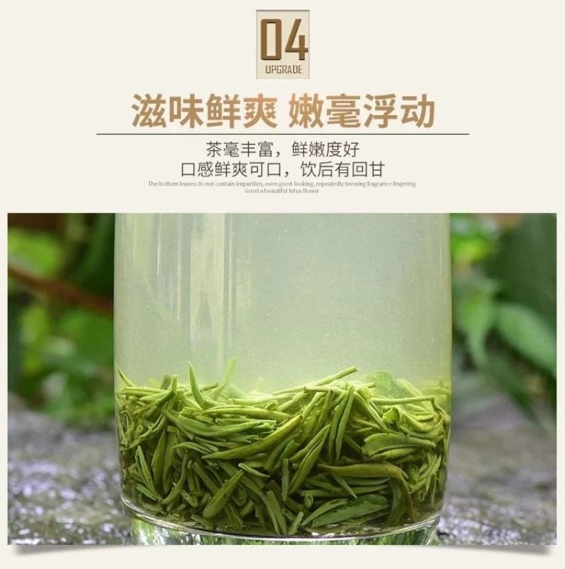 信阳毛尖茶叶2026年明前新茶产地直发散装包邮