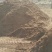 松针腐殖土