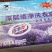 深层洁净洗衣液(洁净力)