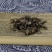 正品野生升麻（统货）精选无硫升麻正宗新货，质量保证量大从优