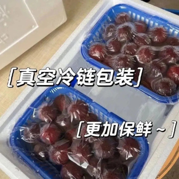 云南石屏杨梅