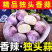 云南独头蒜