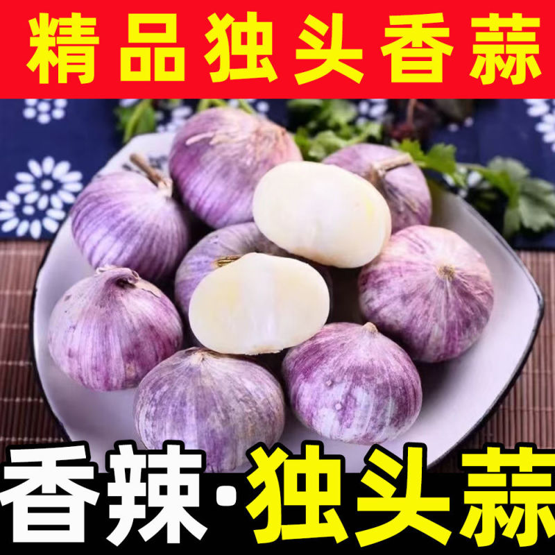 云南独头蒜
