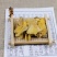 正品虎杖胰岛野生果茶新货新鲜干货无硫添加，品质保证，量大从优