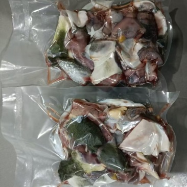 生猛甲鱼12元一斤起，冻品甲鱼13·5元一斤起