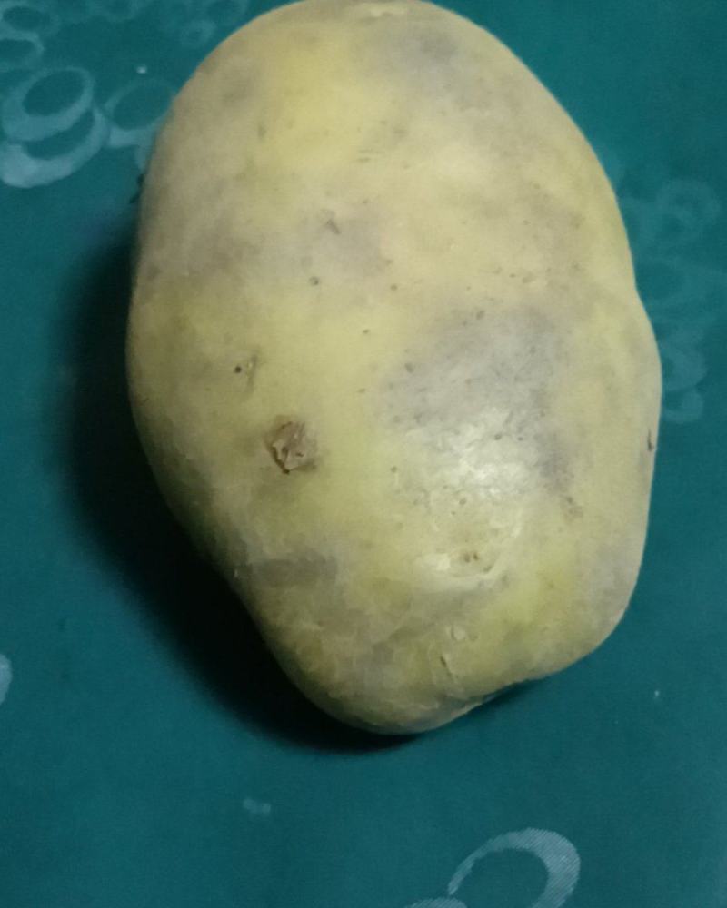 土豆