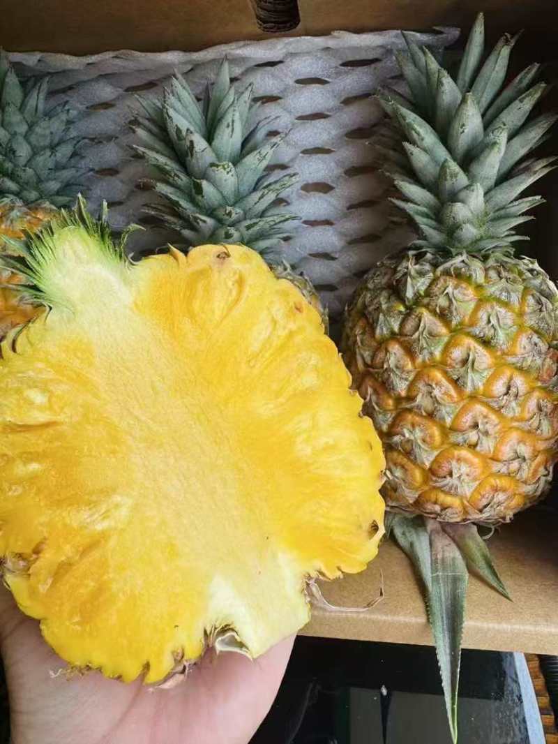 芒果凤梨