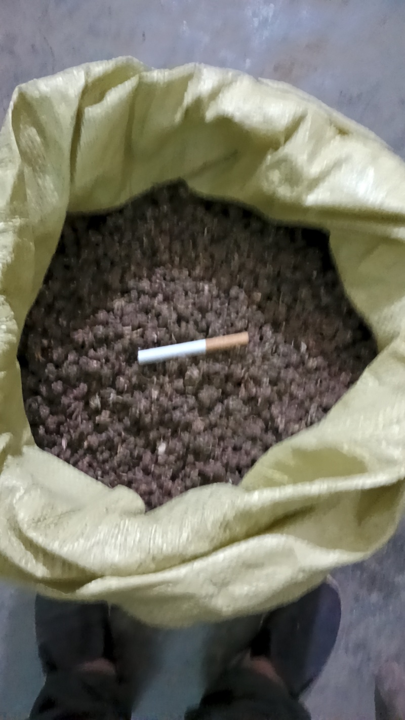 猫爪草