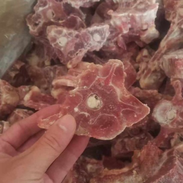 内蒙古多肉羊蝎子8.85一斤，一件20斤