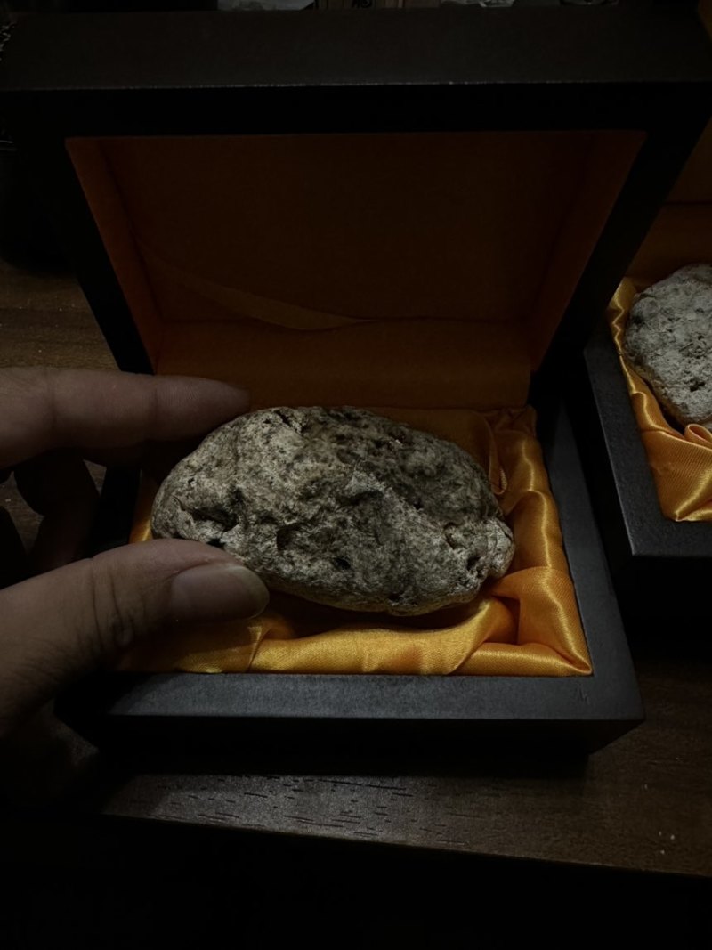 龙涎香高品质