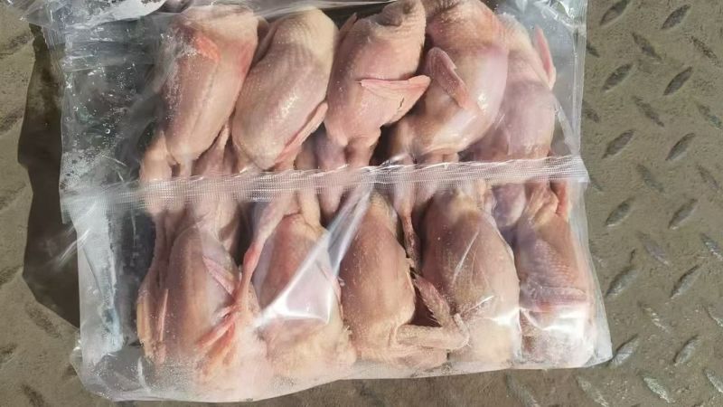 二价鹌鹑，不分大小