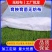 无纺布