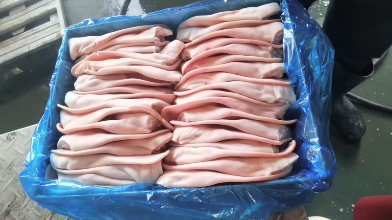精品耳朵27-2930-3334-36各种规格