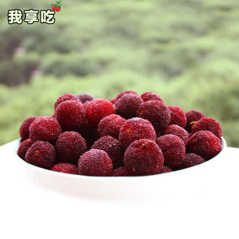 石屏杨梅