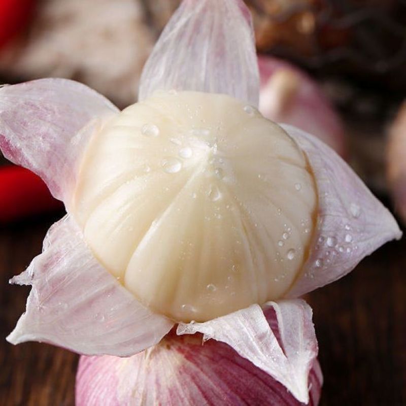 云南独头蒜
