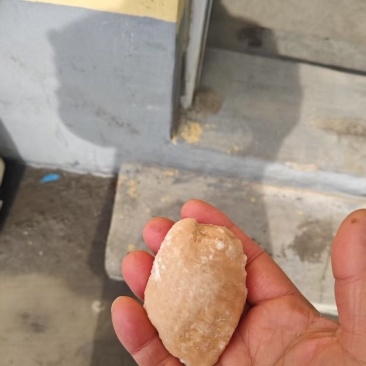 个人加工小包装鸡翅中