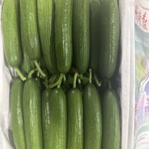 小青瓜