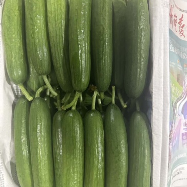 小青瓜