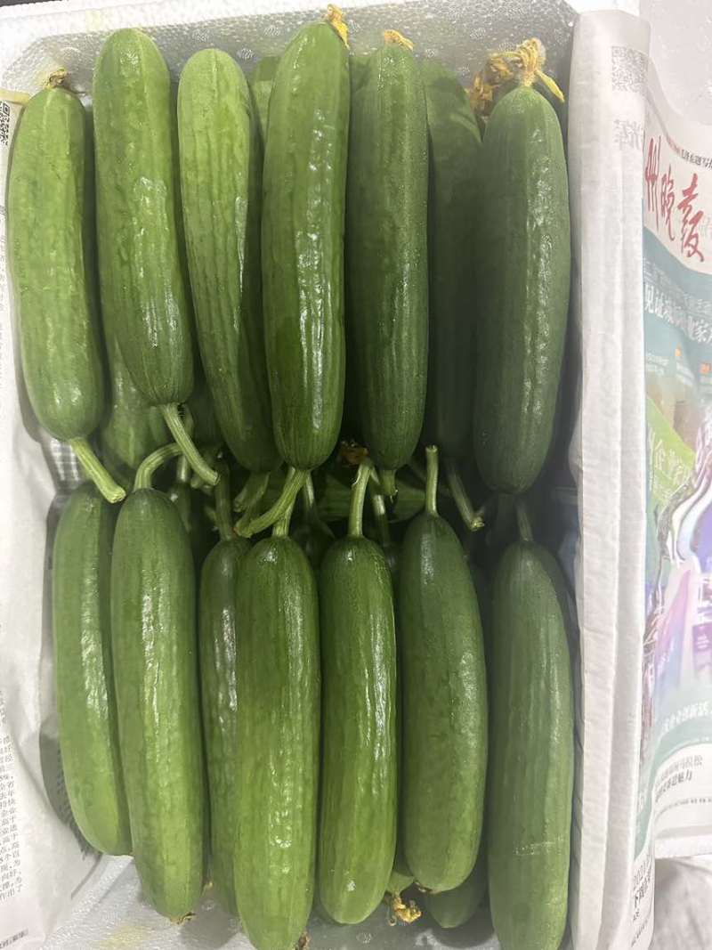 小青瓜