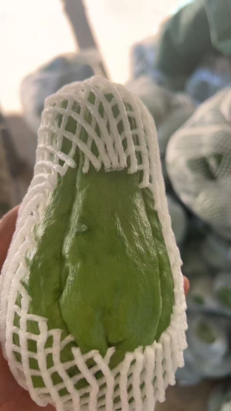 佛手瓜