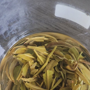 茶叶