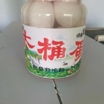 大桶蛋，