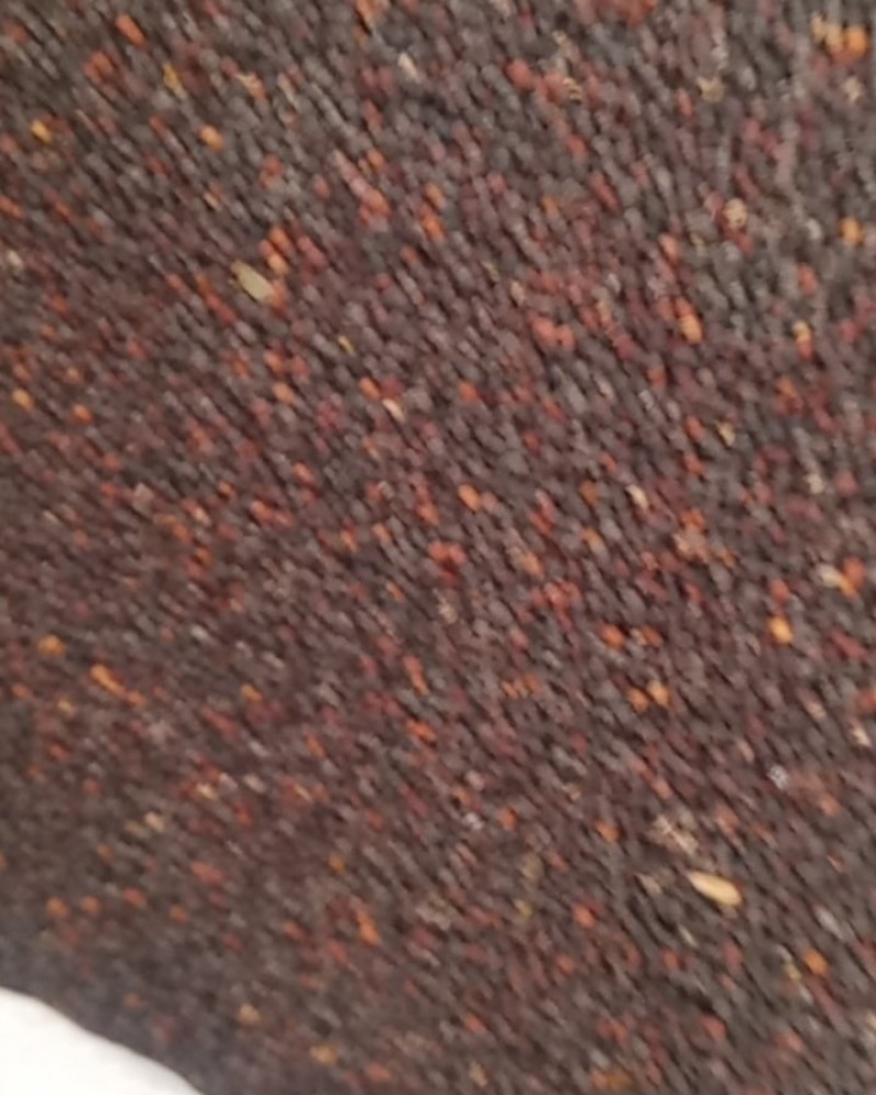 油菜籽