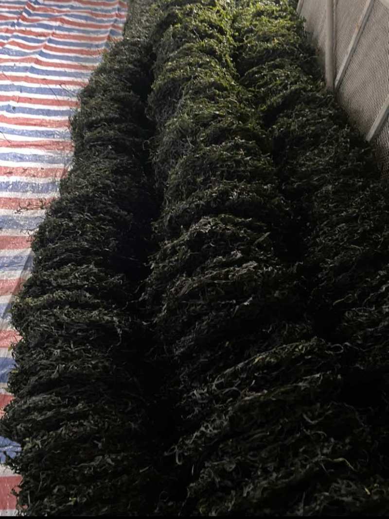 海产品500g