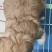 小宠物狗