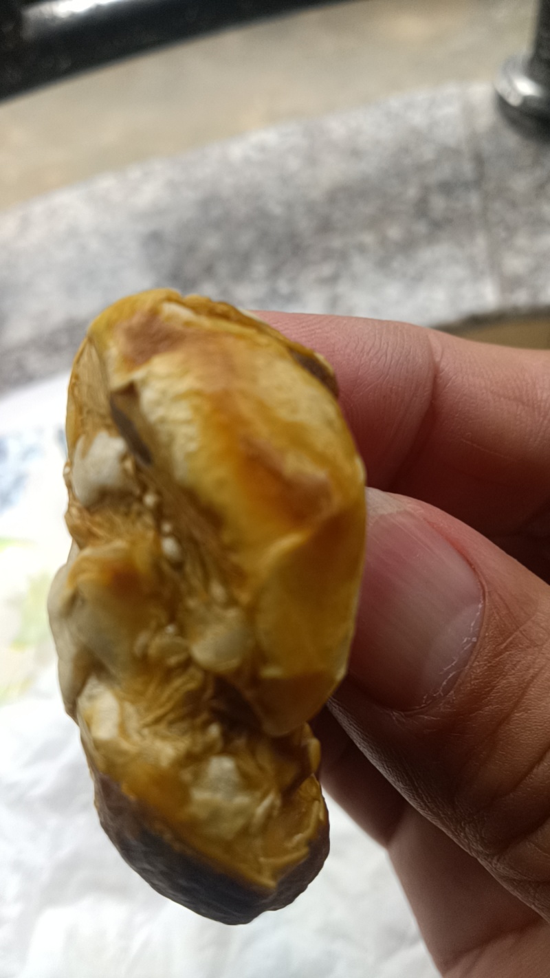 六年老母鸡的鸡宝一个