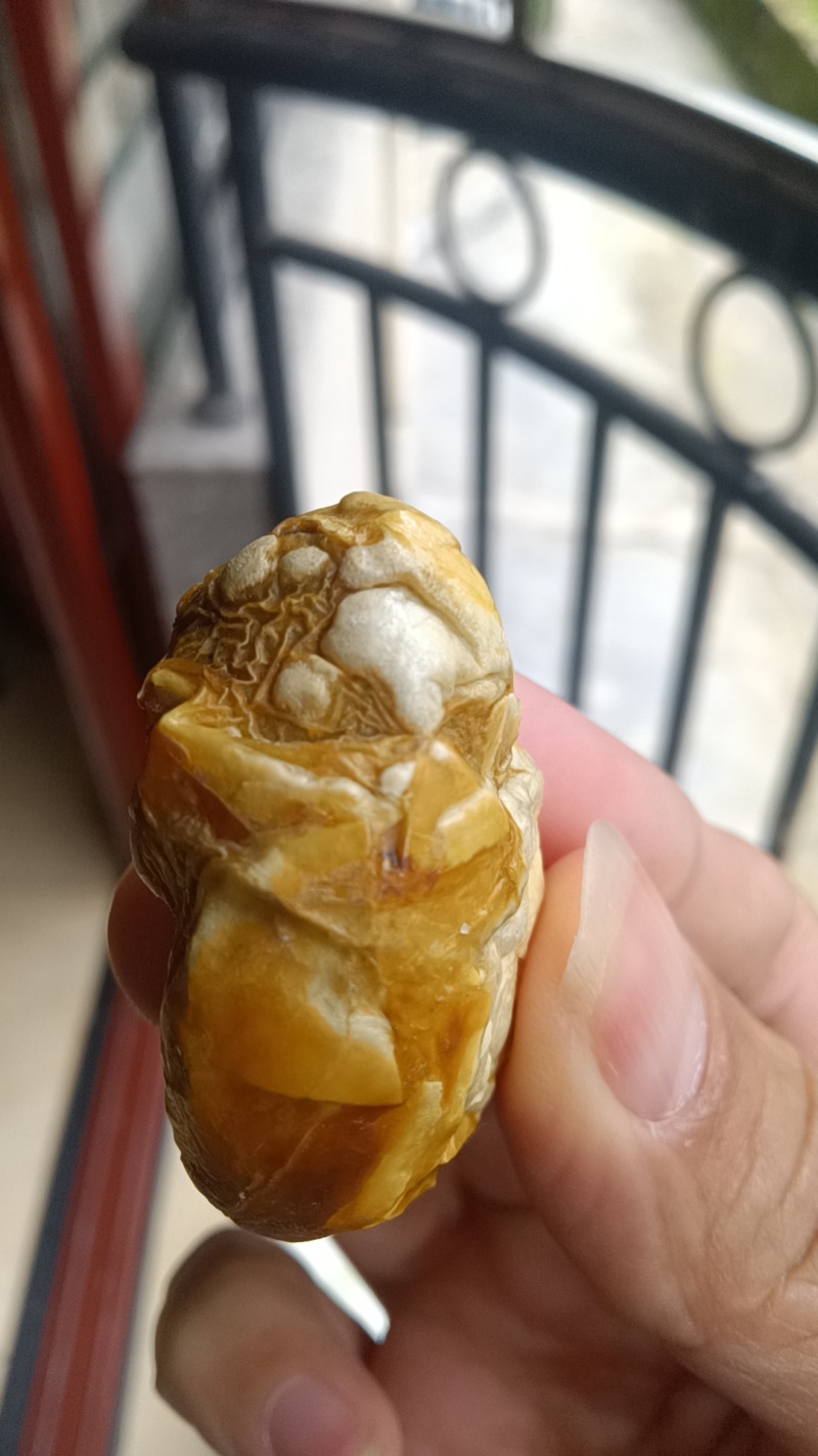 六年老母鸡的鸡宝一个