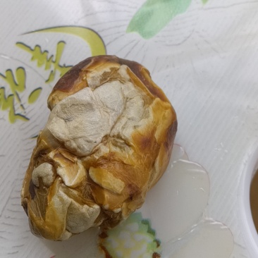 六年老母鸡的鸡宝一个