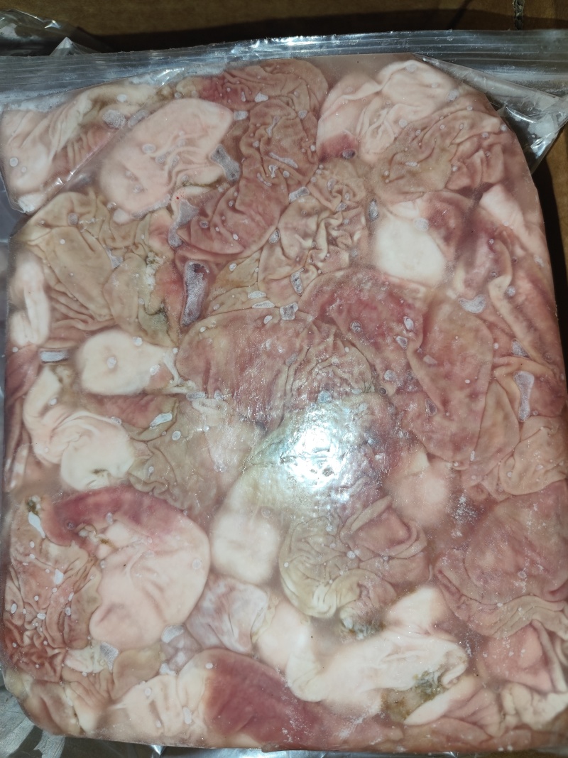 兔肚