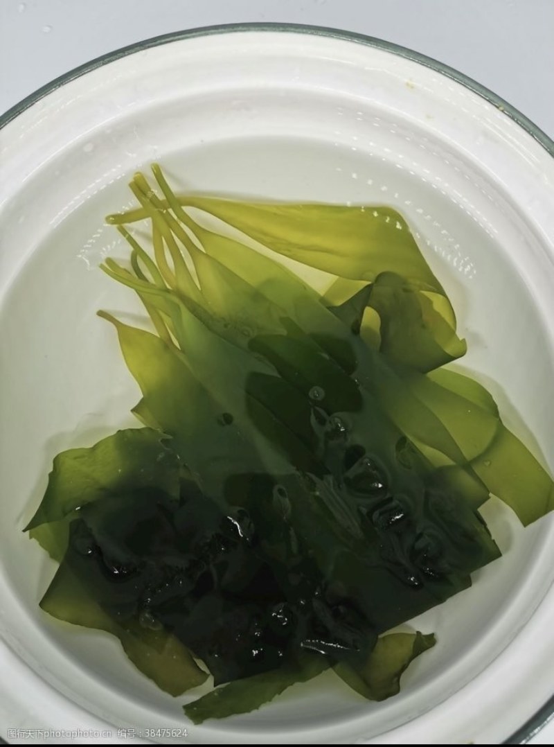 海带苖