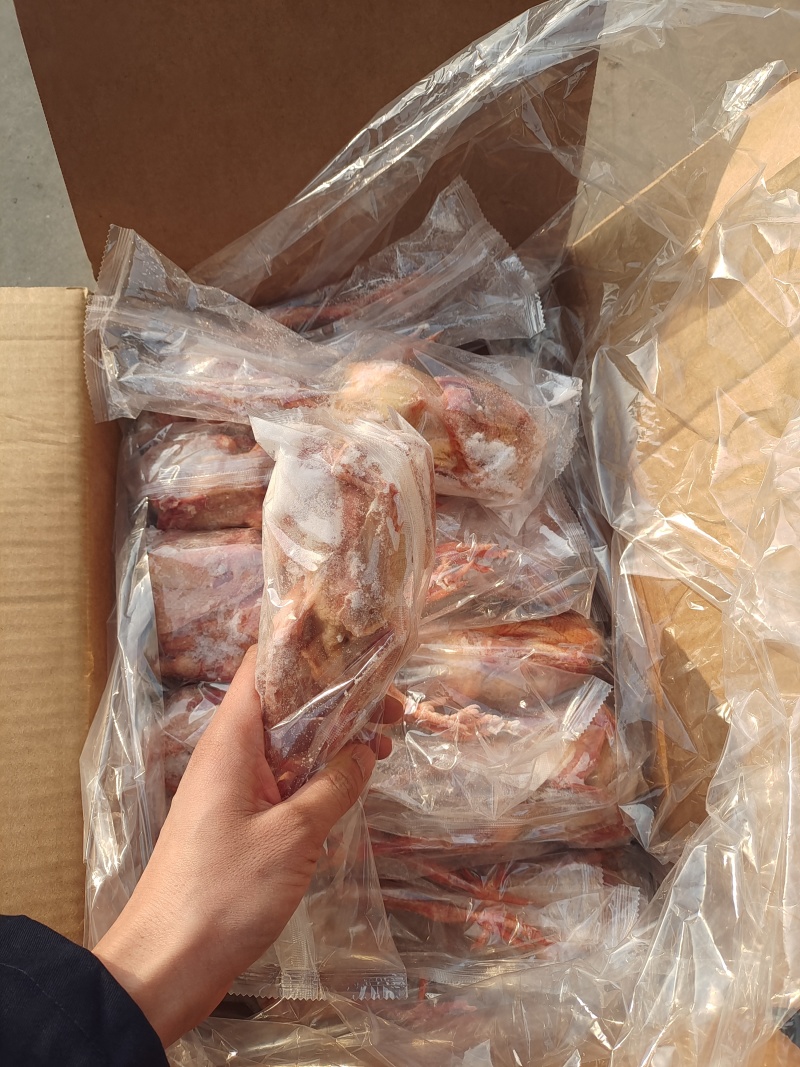 鸽子各规格，有货需要的可以联系我