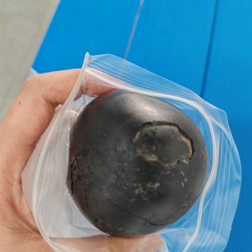 驴宝