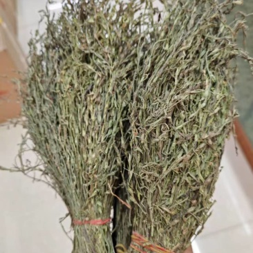 独脚金