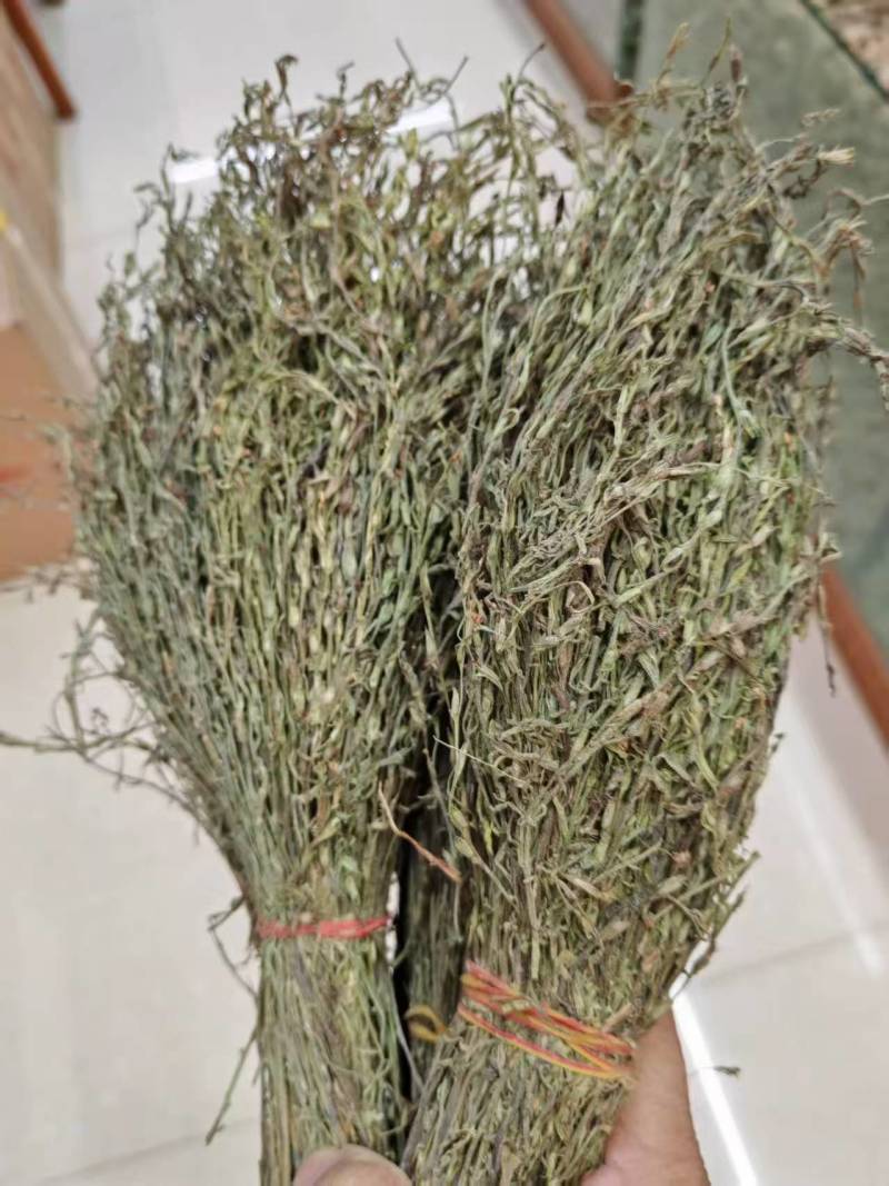独脚金