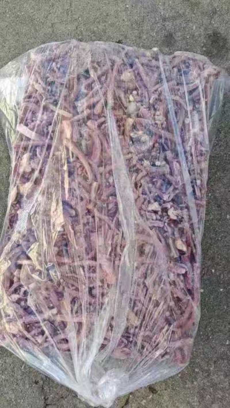 鱿鱼残条有货6800