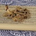 独活（统货）中材批新货无硫发干货，质量保证，量大从优