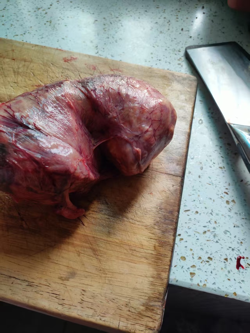 现杀出疑是鸡宝