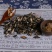 中药材香附片香附无硫新货野生，质量保证