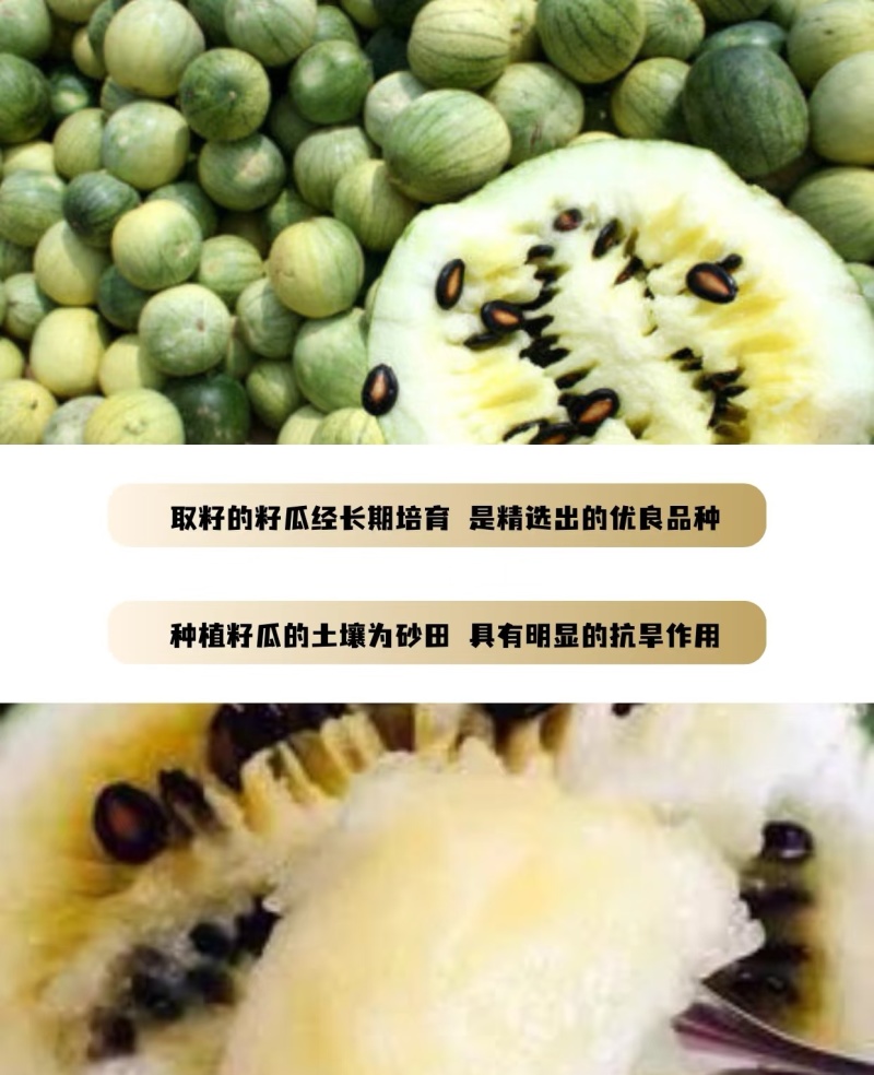 新疆阿勒泰地区黑大片